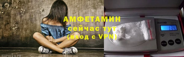 гидра Арсеньев