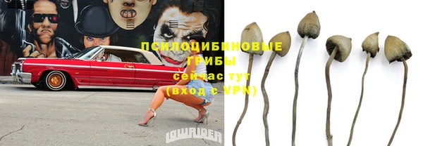 гидра Арсеньев