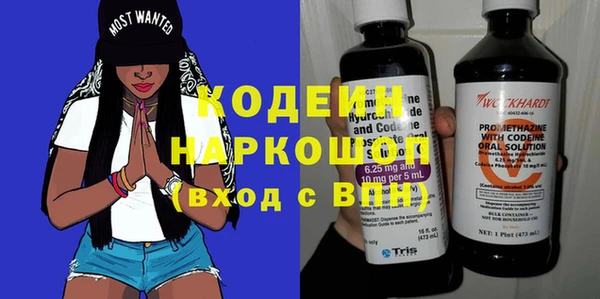 гидра Арсеньев