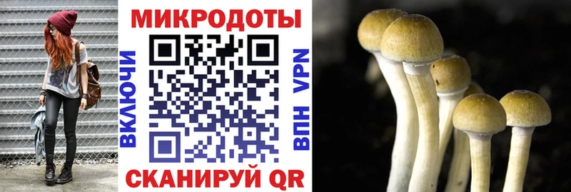 Галлюциногенные грибы Psilocybe  Оханск 